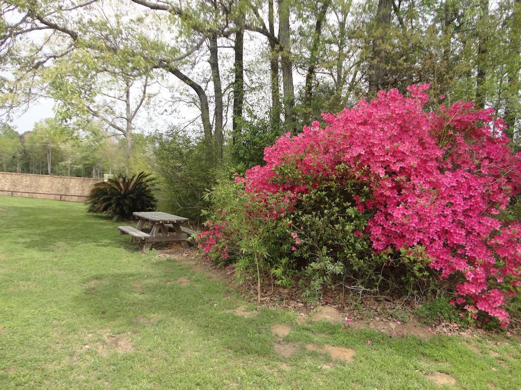 Garden Inn And Suites Silsbee 외부 사진